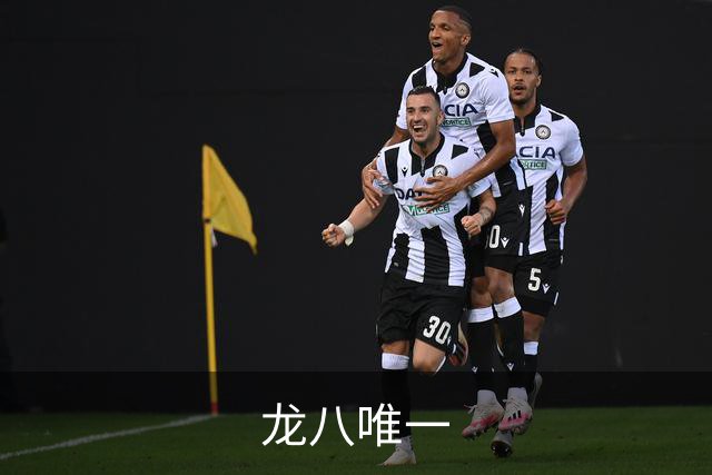 龙八唯一公司简介