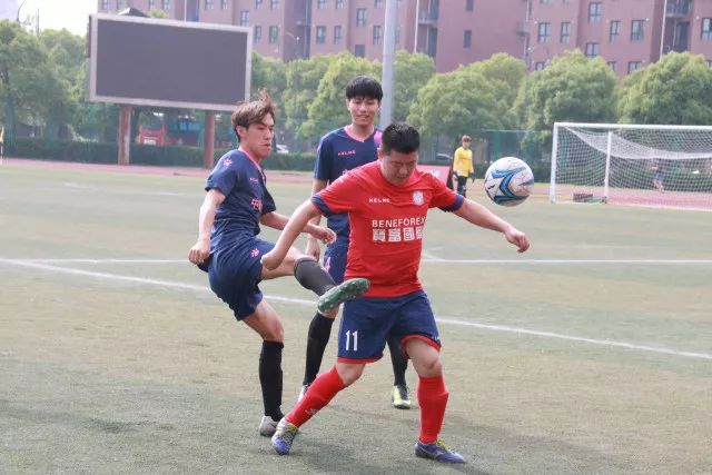 龙八唯一专业服务展示图片